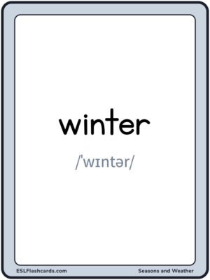 Preview of Words with IPA, Large