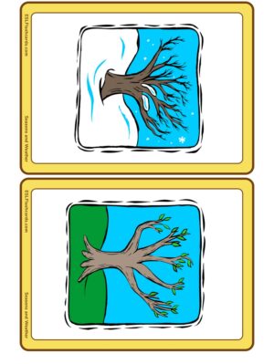 Preview of Images only, Medium