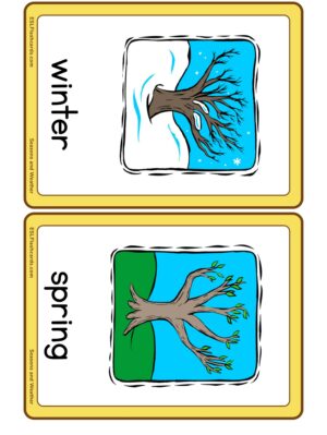 Preview of Images with labels, Medium