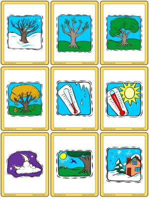 Preview of Images only, Small