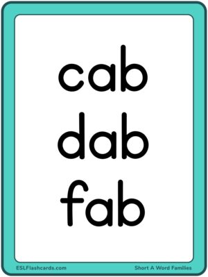 Preview of Word cards, Large, Short A