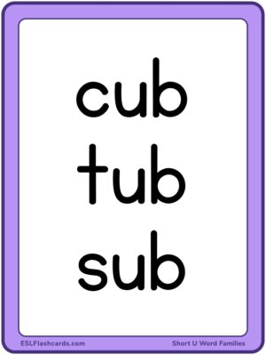 Preview of Word cards, Large, Short U