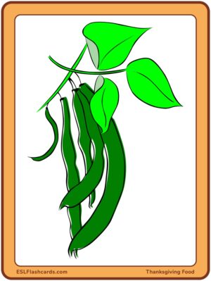 Preview of Images only, Large