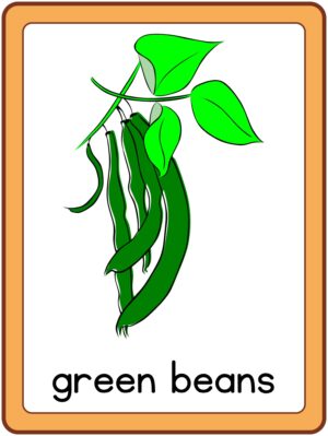 Preview of Images with labels, Large