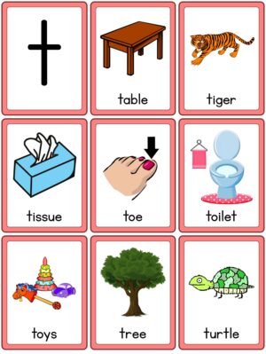 Preview of Images with labels, T to Z
