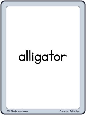 Preview of Word cards, Large