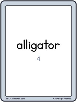 Preview of Word cards with numbers, Large