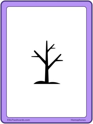 Preview of Images only, Large