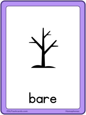 Preview of Images with labels, Large