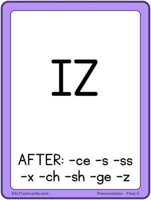 Preview of Images with labels, Large