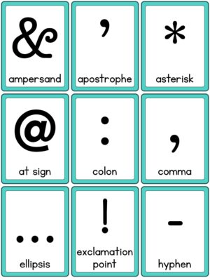 Preview of Punctuation with labels, Small