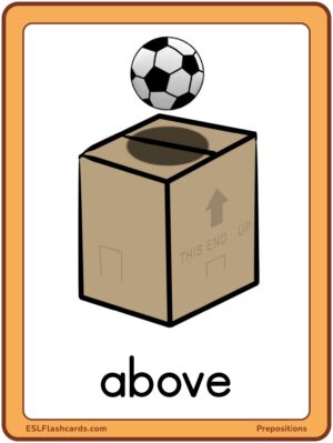 Preview of Images with labels, Large