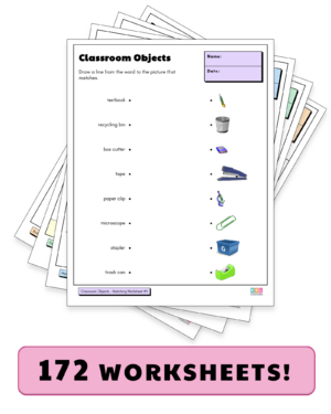 Worksheet Package #3: Nouns