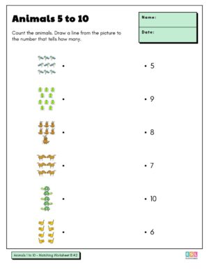 Preview of Animals